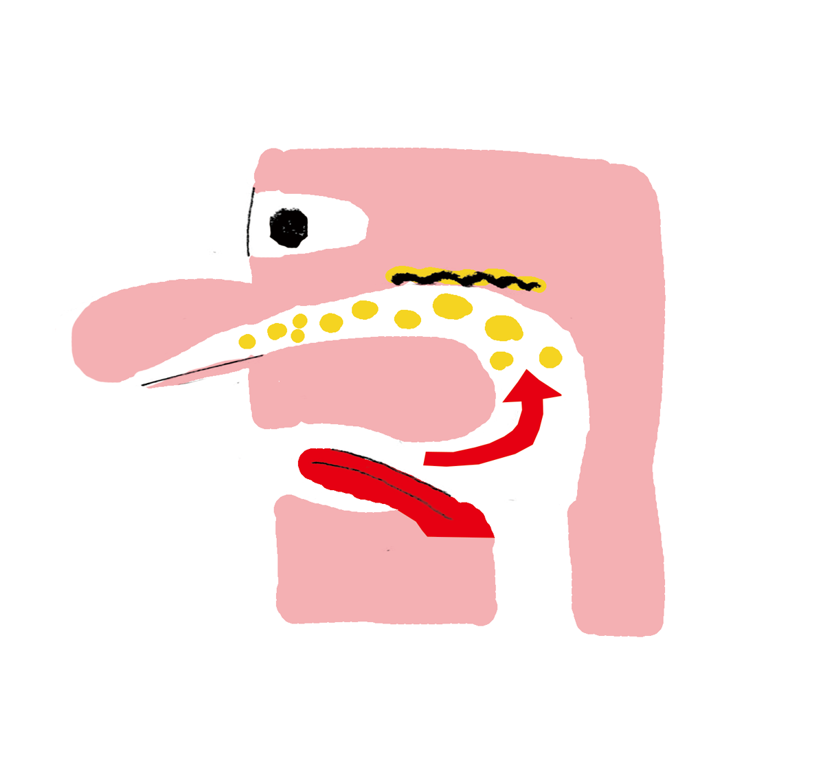 アフター・テイスト